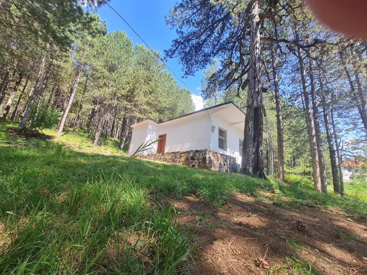 Bujtinat Skenderi Gjinar 2 Villa Exterior foto