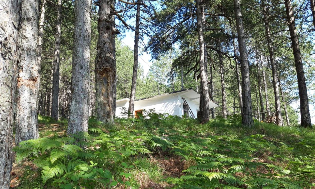 Bujtinat Skenderi Gjinar 2 Villa Exterior foto