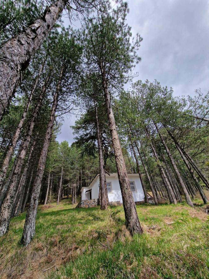Bujtinat Skenderi Gjinar 2 Villa Exterior foto