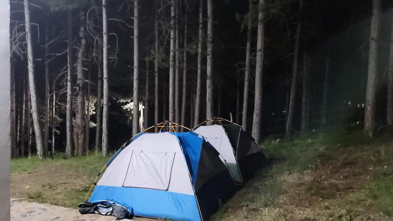 Bujtinat Skenderi Gjinar 2 Villa Cameră foto