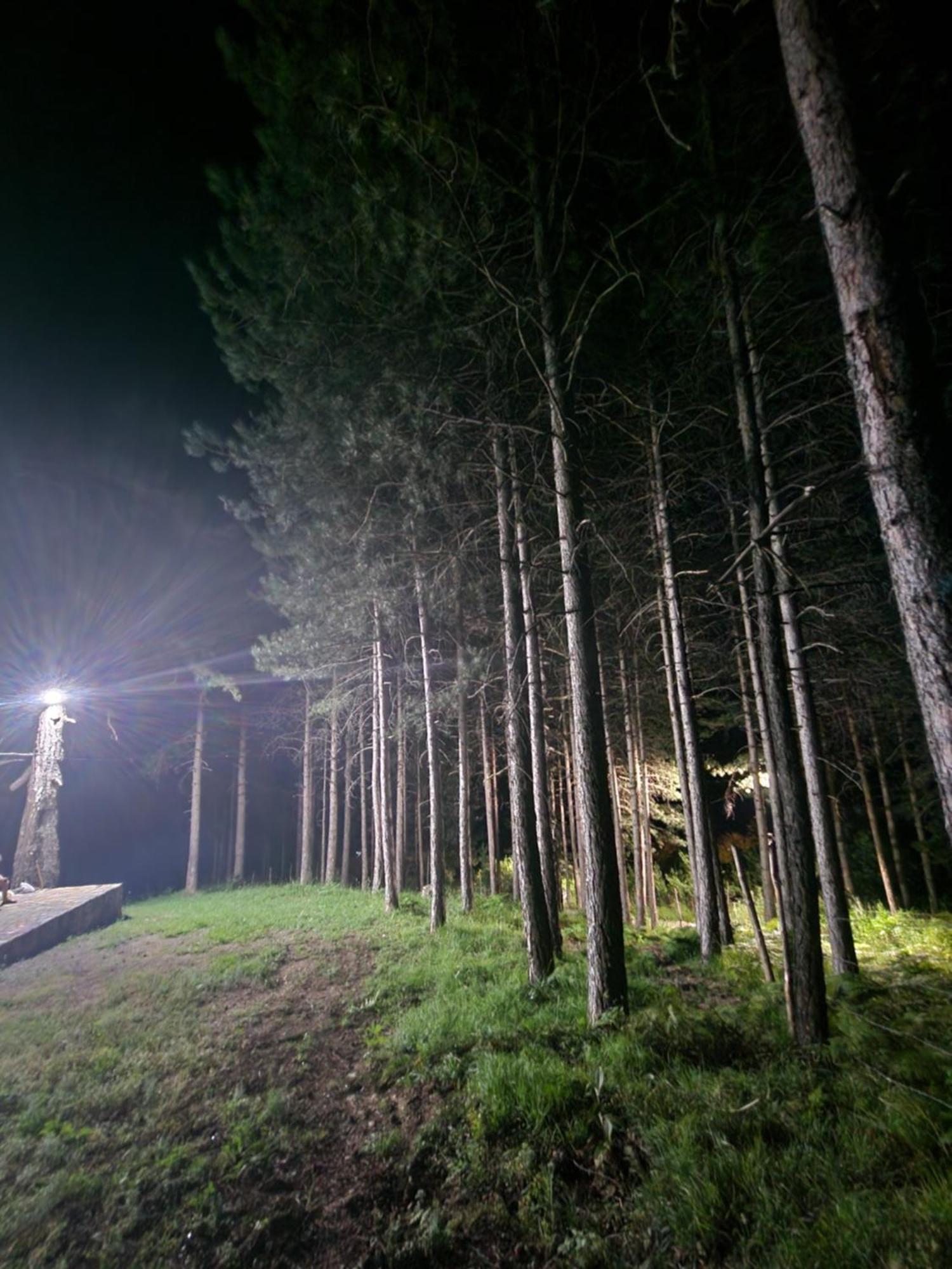 Bujtinat Skenderi Gjinar 2 Villa Cameră foto