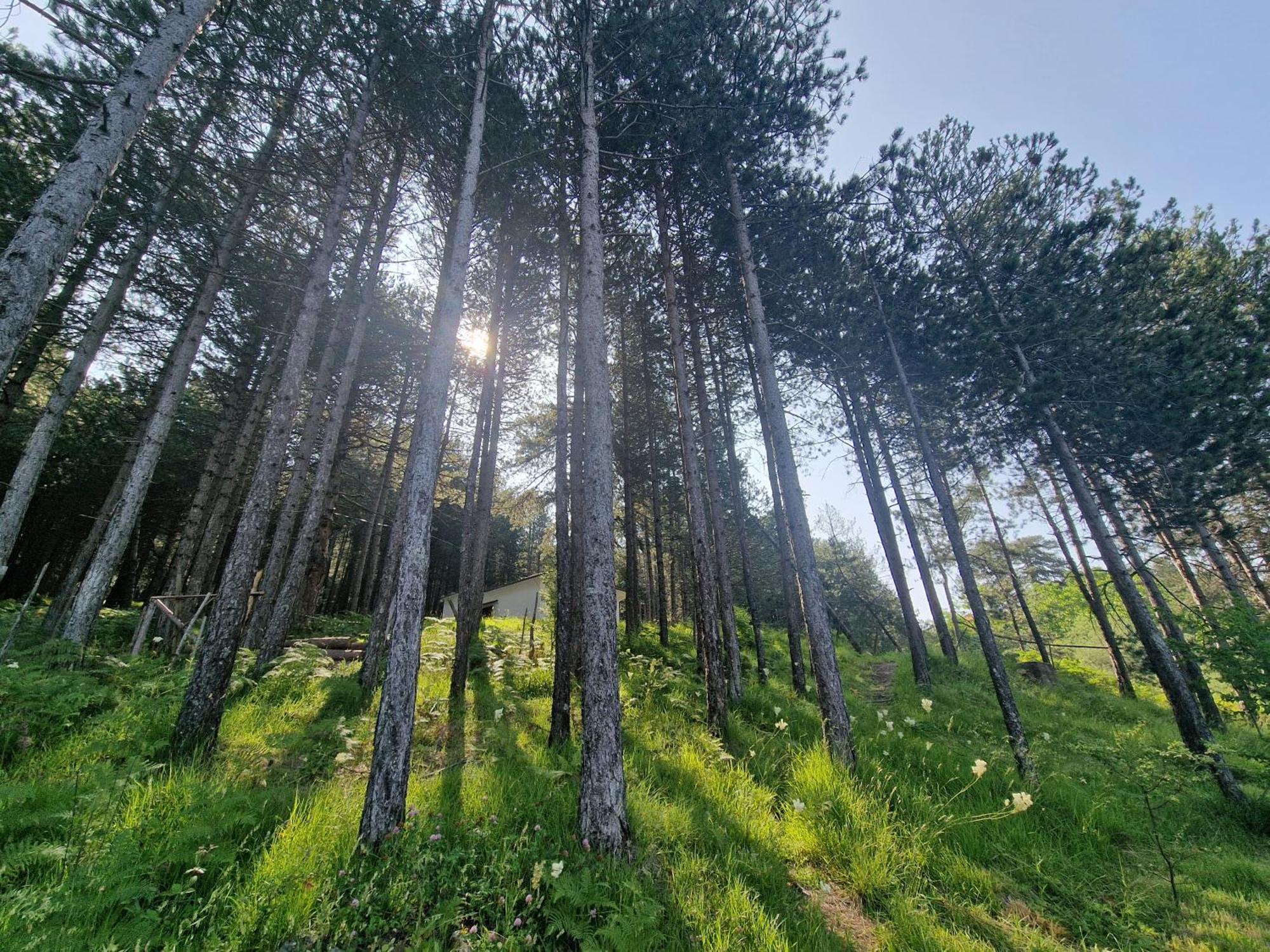 Bujtinat Skenderi Gjinar 2 Villa Cameră foto
