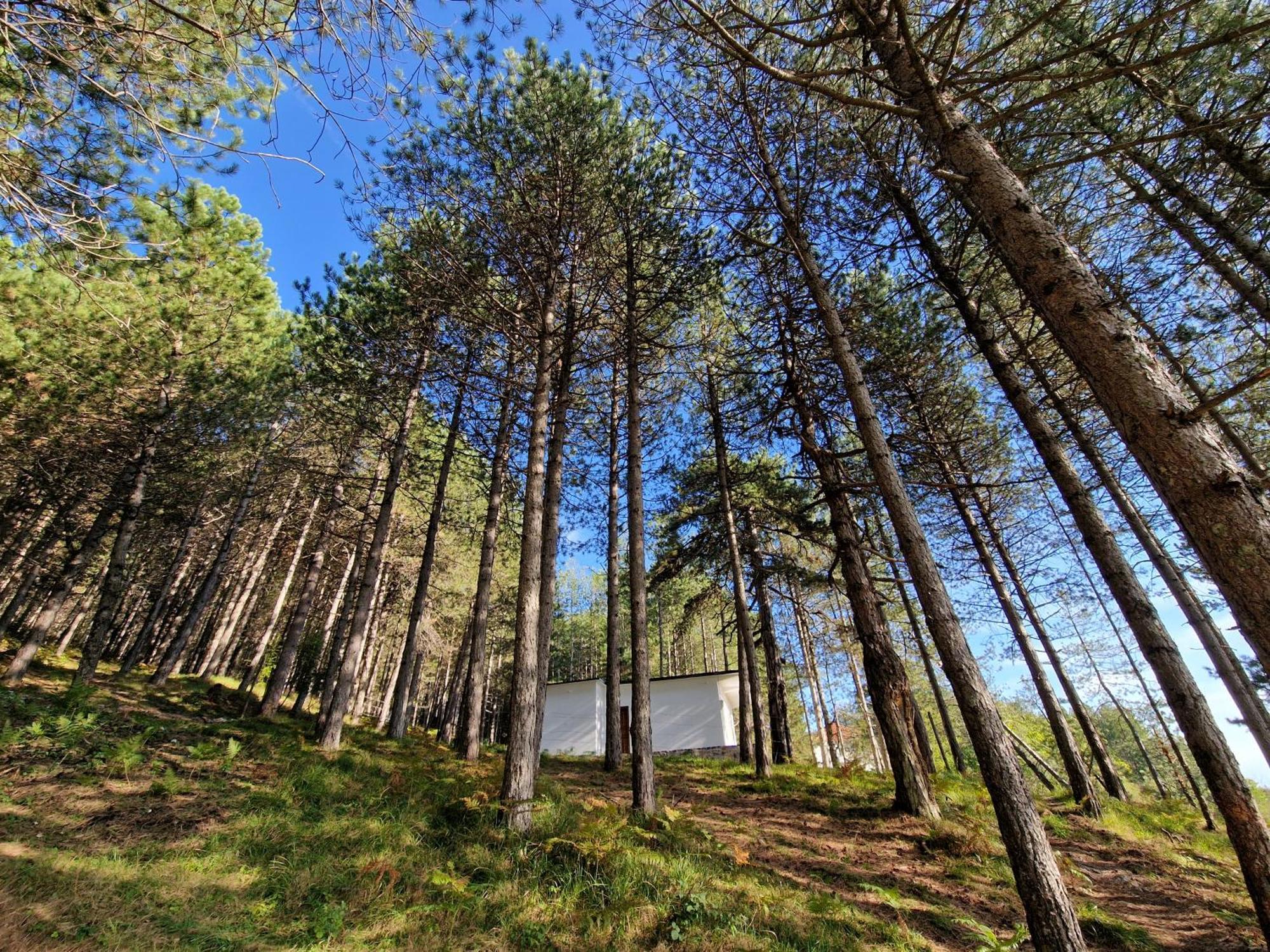Bujtinat Skenderi Gjinar 2 Villa Cameră foto